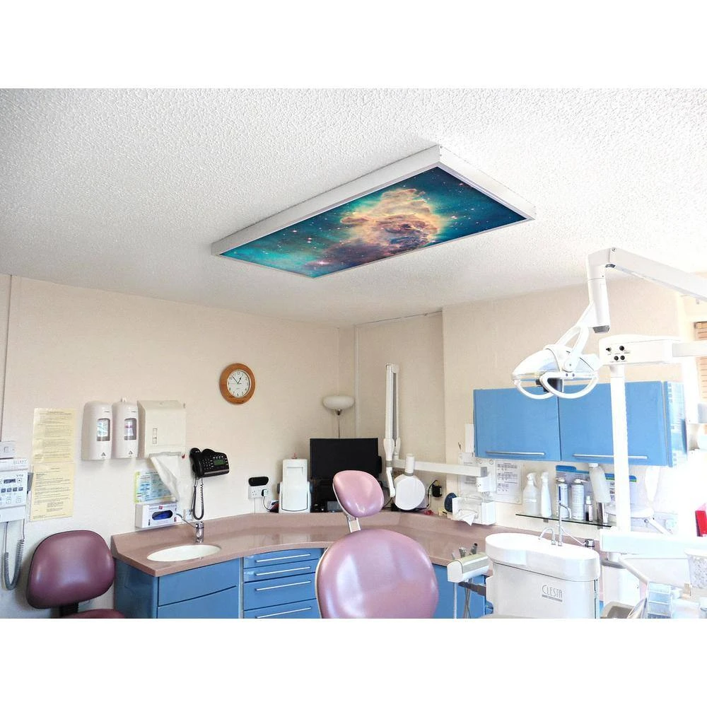 Astronomy 006 1 ft. x 4 ft. Fluorescent Light Filters by OCTO LIGHTS - Image 6