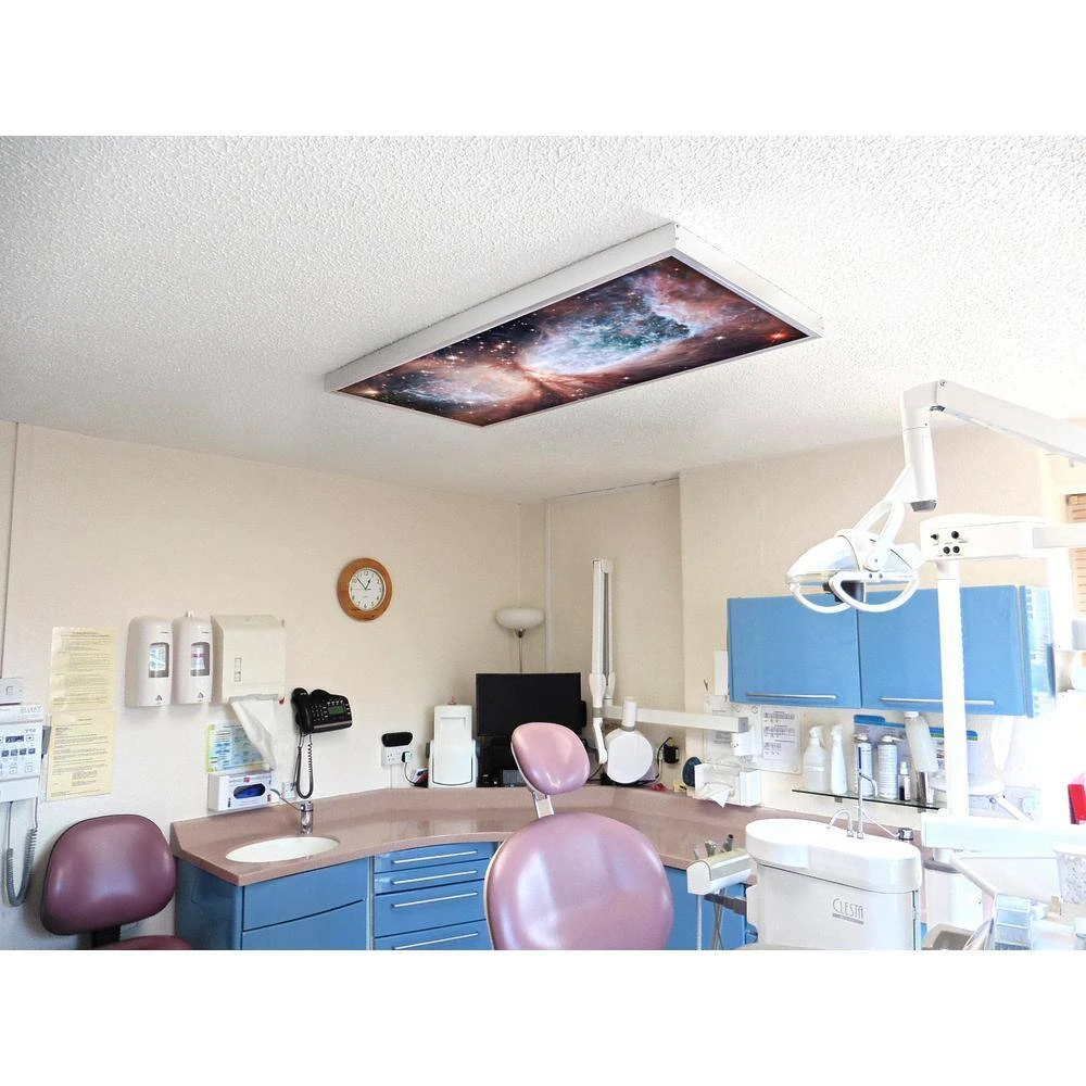 Astronomy 008 1 ft. x 4 ft. Fluorescent Light Filters by OCTO LIGHTS - Image 6