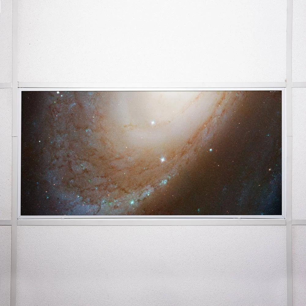 Astronomy 023 2 ft. x 4 ft. Fluorescent Light Filters by OCTO LIGHTS - Image 7