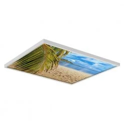 2 x 2 Fluorescent Light Filters Beach 004 by OCTO LIGHTS