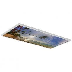 2 x 4 Fluorescent Light Filters Beach 006 by OCTO LIGHTS