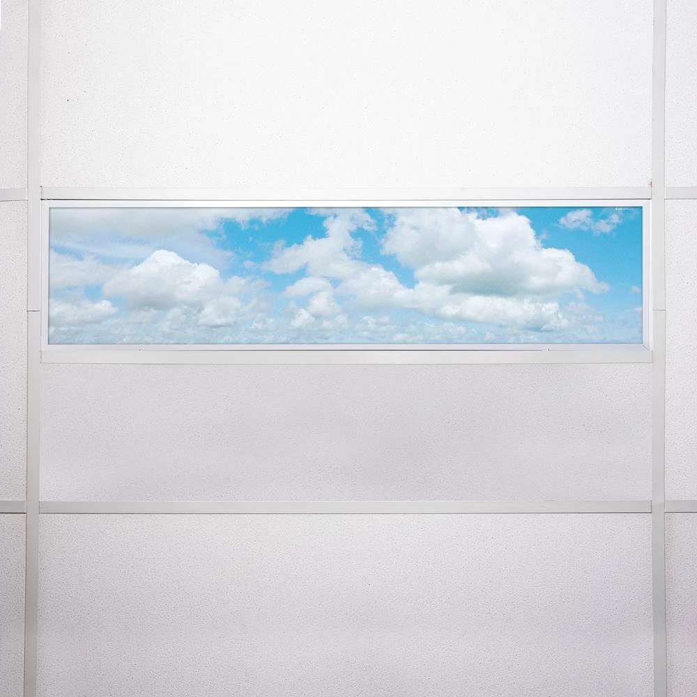 002 1 ft. x 4 ft. Fluorescent Light Filters by OCTO LIGHTS - Image 7