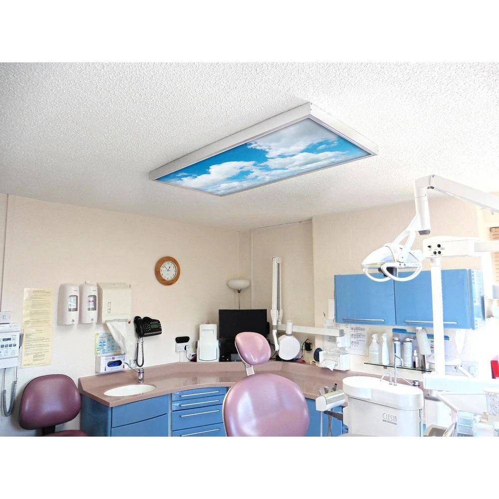 002 2 ft. x 4 ft. Fluorescent Light Filters by OCTO LIGHTS - Image 6