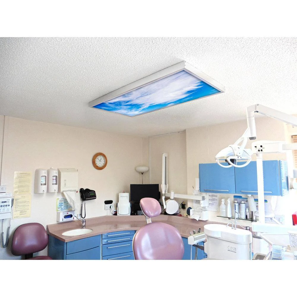 003 2 ft. x 2 ft. Fluorescent Light Filters by OCTO LIGHTS - Image 6