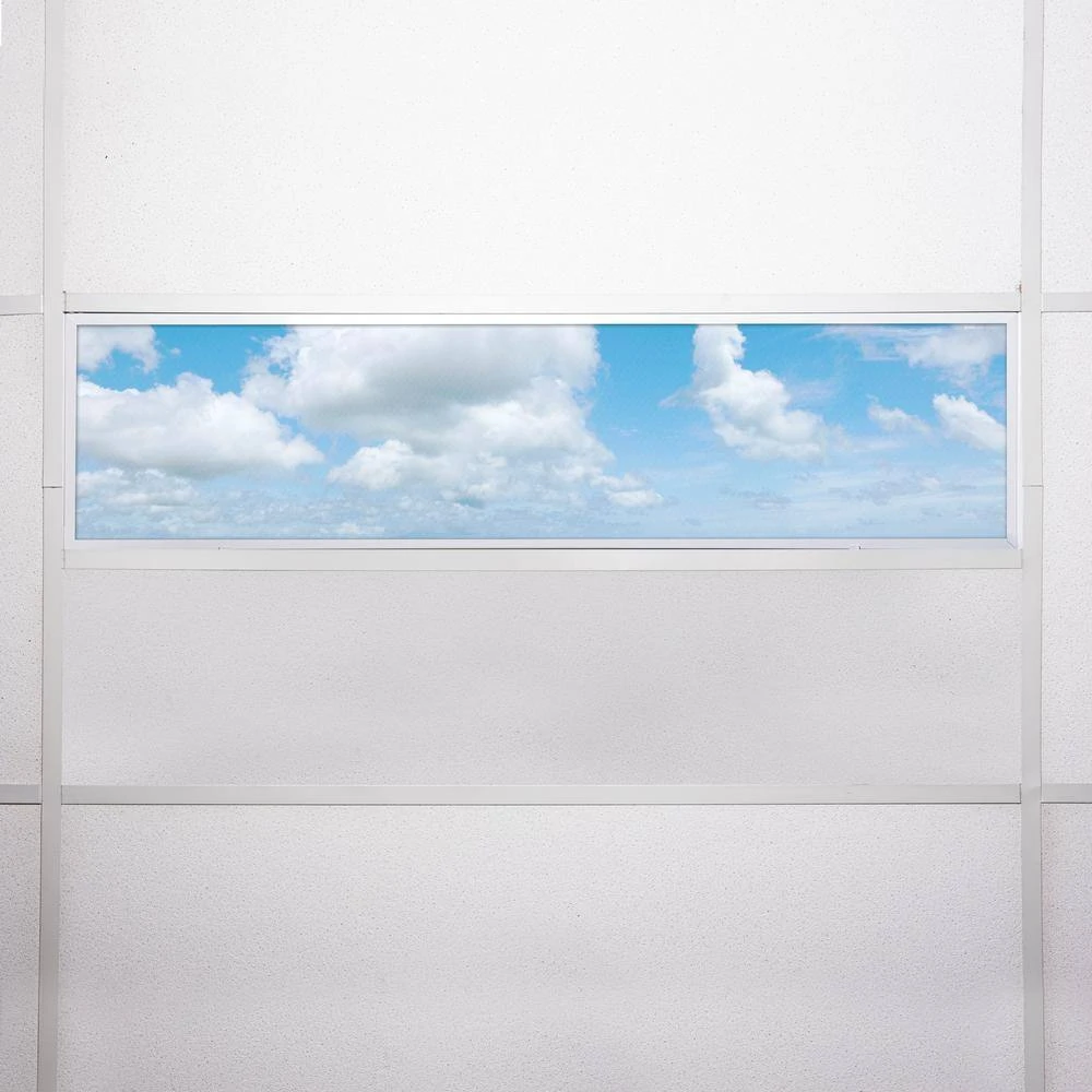 008 1 ft. x 4 ft. Fluorescent Light Filters by OCTO LIGHTS - Image 7