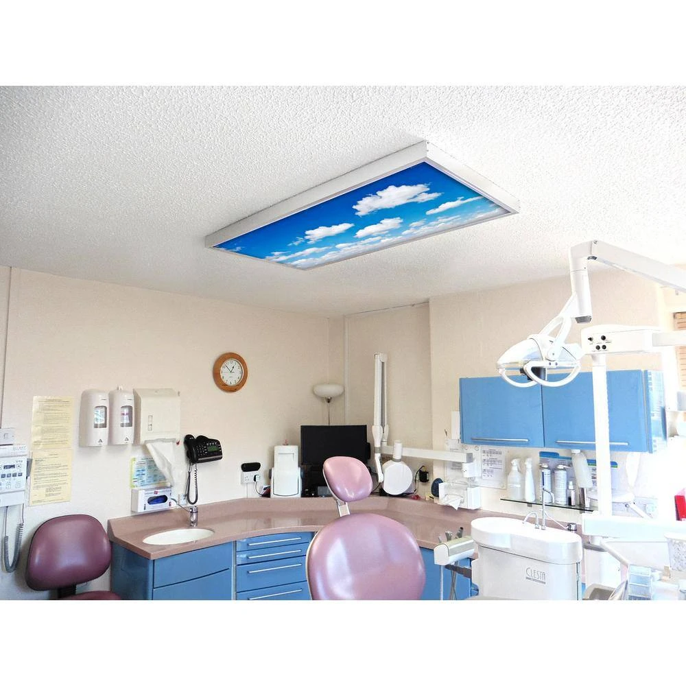 011 2 ft. x 2 ft. Fluorescent Light Filters by OCTO LIGHTS - Image 6