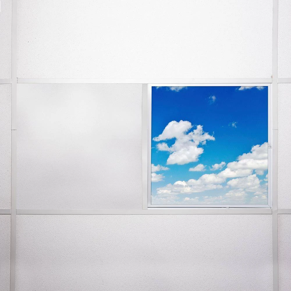 012 2 ft. x 2 ft. Fluorescent Light Filters by OCTO LIGHTS - Image 7