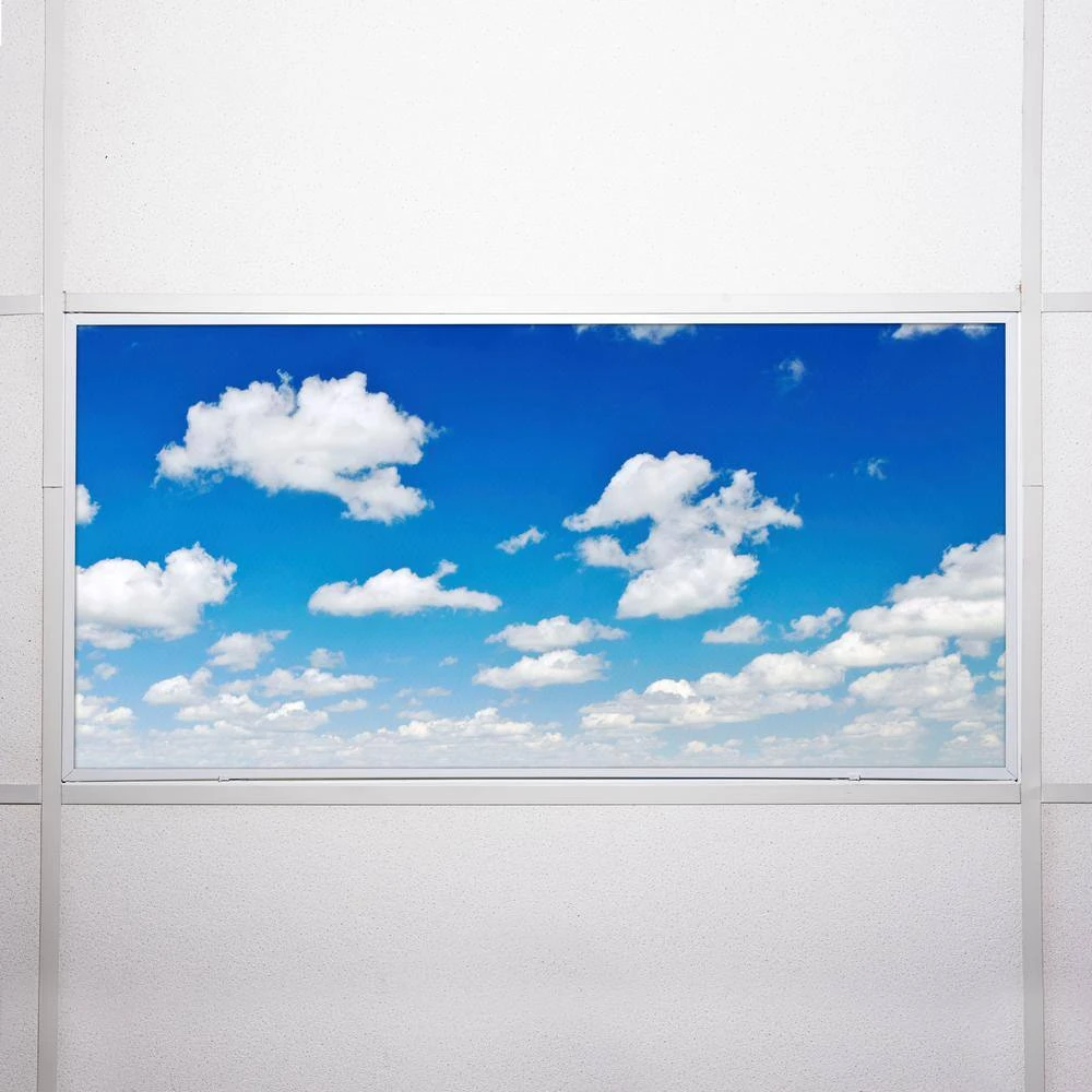 012 2 ft. x 4 ft. Fluorescent Light Filters by OCTO LIGHTS - Image 7