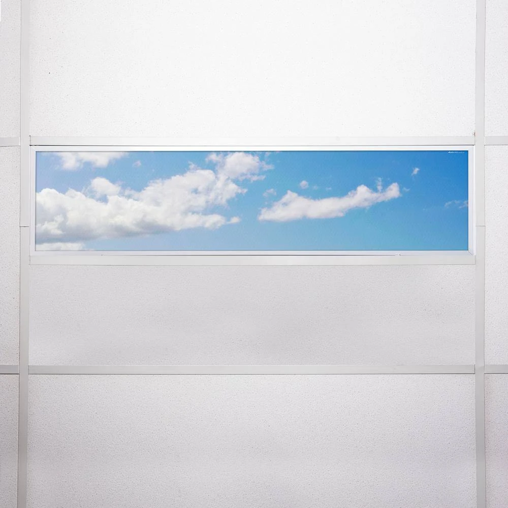 014 1 ft. x 4 ft. Fluorescent Light Filters by OCTO LIGHTS - Image 7