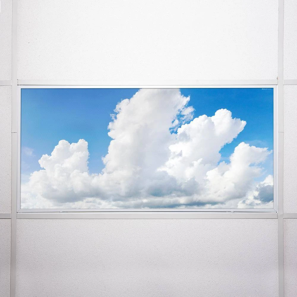 015 2 ft. x 4 ft. Fluorescent Light Filters by OCTO LIGHTS - Image 7