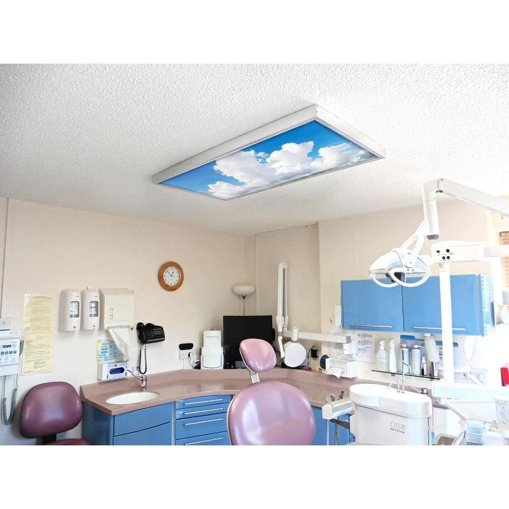 015 2 ft. x 4 ft. Fluorescent Light Filters by OCTO LIGHTS - Image 6