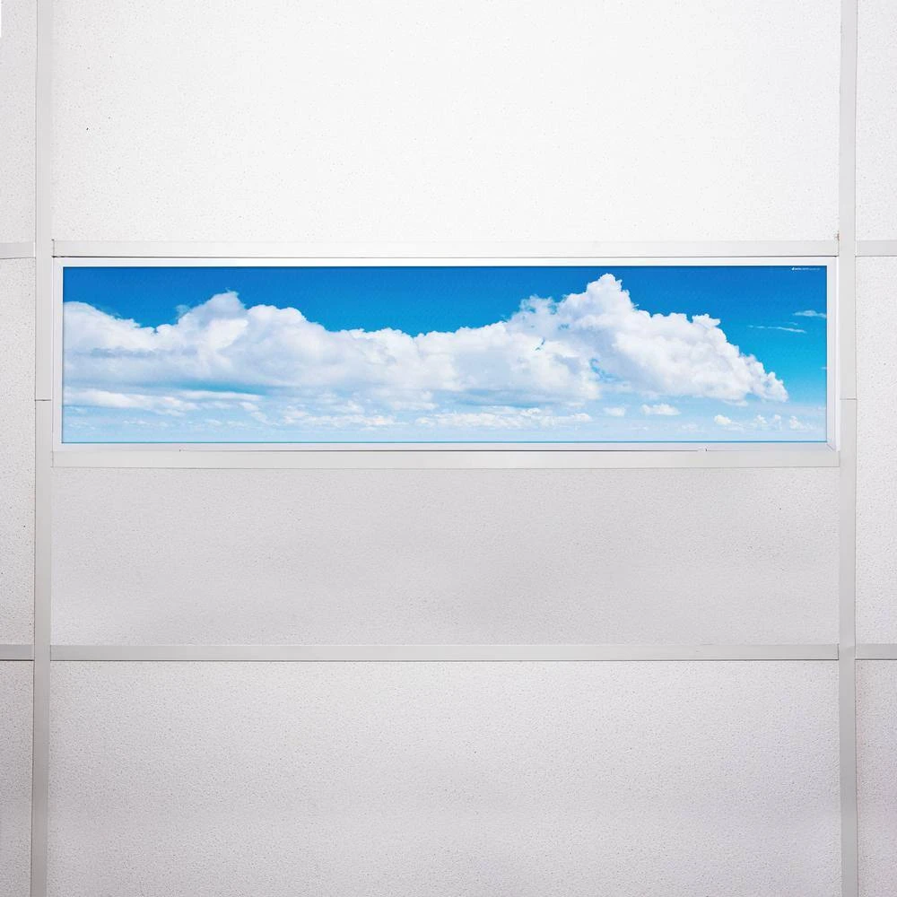 017 1 ft. x 4 ft. Fluorescent Light Filters by OCTO LIGHTS - Image 7