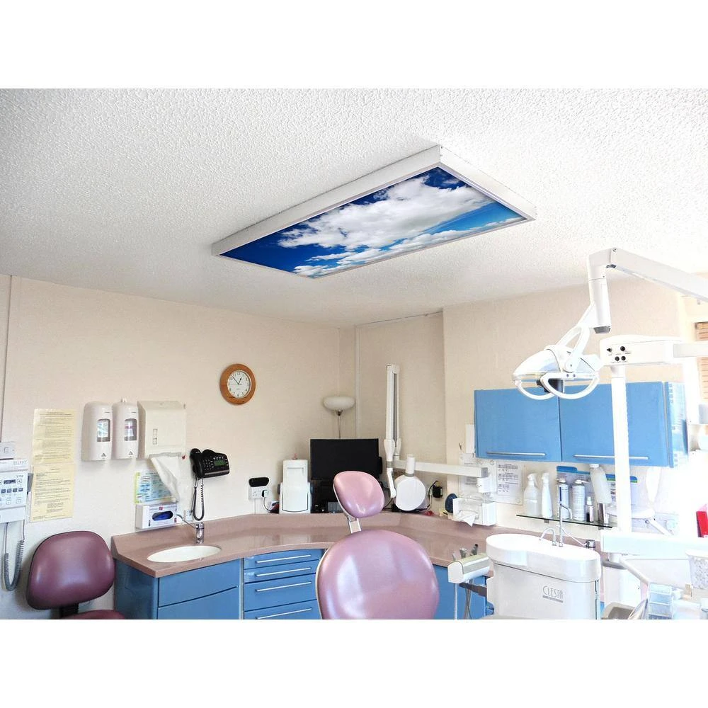 019 1 ft. x 4 ft. Fluorescent Light Filters by OCTO LIGHTS - Image 6