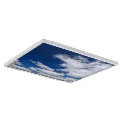019 2 ft. x 2 ft. Fluorescent Light Filters by OCTO LIGHTS