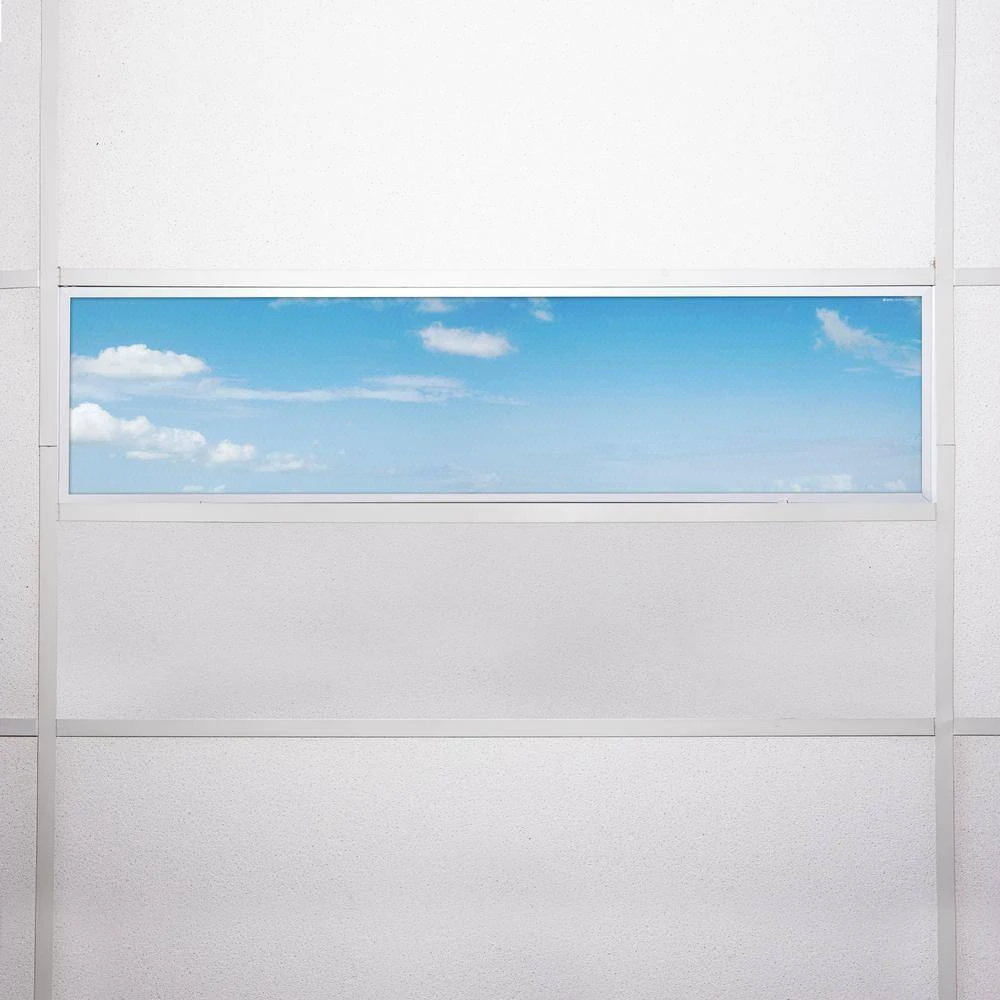 020 1 ft. x 4 ft. Fluorescent Light Filters by OCTO LIGHTS - Image 7