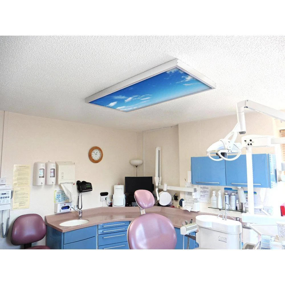 020 2 ft. x 2 ft. Fluorescent Light Filters by OCTO LIGHTS - Image 6