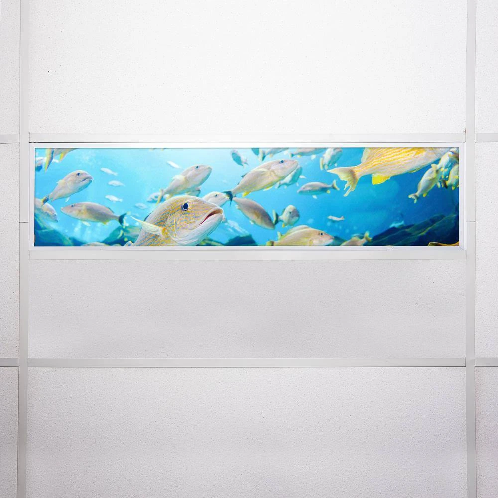 Ocean 004 1 ft. x 4 ft. Flexible Decorative Light Diffuser Panels Ocean for Classrooms and Offices by OCTO LIGHTS - Image 7