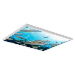 Ocean 004 2 ft. x 2 ft. Flexible Decorative Light Diffuser Panels Ocean for Classrooms and Offices by OCTO LIGHTS