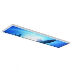 Ocean 007 1 ft. x 4 ft. Flexible Decorative Light Diffuser Panels Ocean for Classrooms and Offices by OCTO LIGHTS