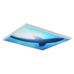 Ocean 007 2 ft. x 2 ft. Flexible Decorative Light Diffuser Panels Ocean for Classrooms and Offices by OCTO LIGHTS