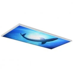 Ocean 007 2 ft. x 4 ft. Flexible Decorative Light Diffuser Panels Ocean for Classrooms and Offices by OCTO LIGHTS