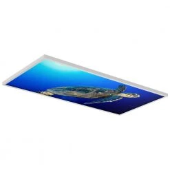 Ocean 008 2 ft. x 4 ft. Flexible Decorative Light Diffuser Panels Ocean for Classrooms and Offices by OCTO LIGHTS