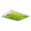 Tree 004 2 ft. x 2 ft. Fluorescent Light Filters by OCTO LIGHTS