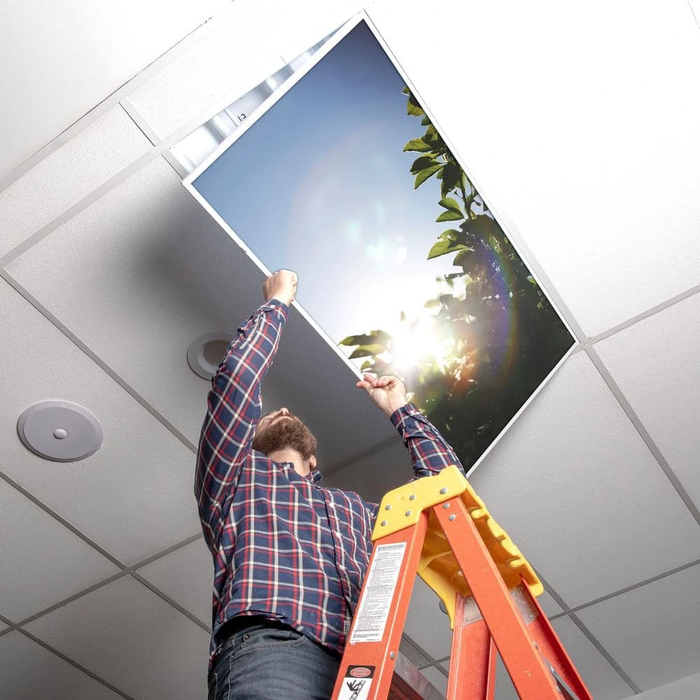 Tree 005 1 ft. x 4 ft. Fluorescent Light Filters by OCTO LIGHTS - Image 5