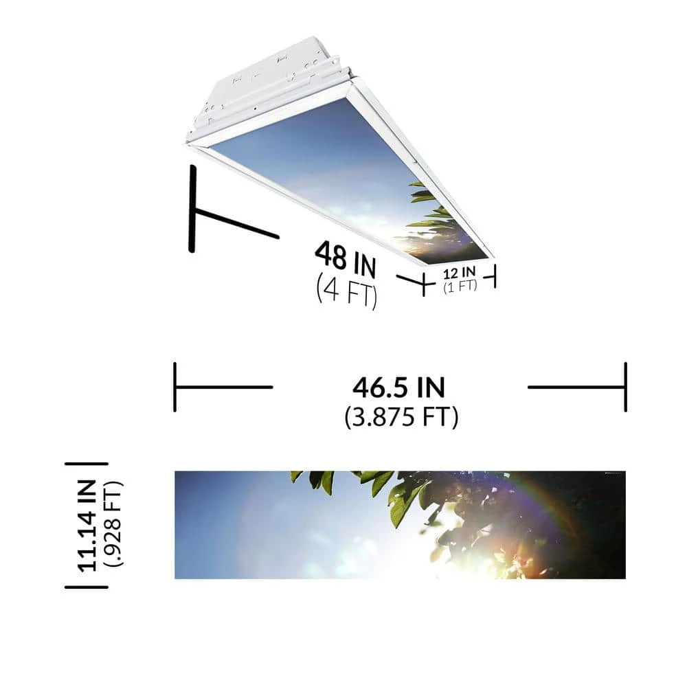 Tree 005 1 ft. x 4 ft. Fluorescent Light Filters by OCTO LIGHTS - Image 2