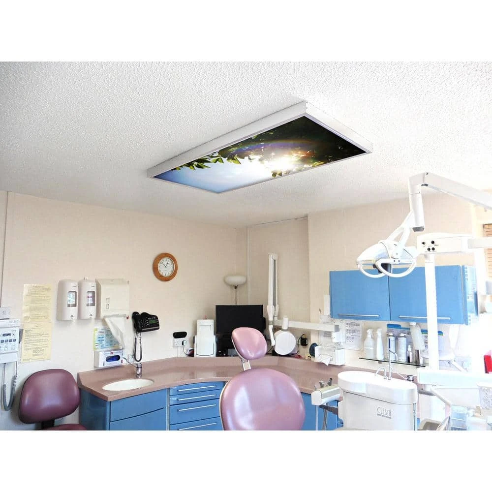 Tree 005 1 ft. x 4 ft. Fluorescent Light Filters by OCTO LIGHTS - Image 6