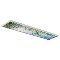 Tree 006 1 ft. x 4 ft. Fluorescent Light Filters by OCTO LIGHTS