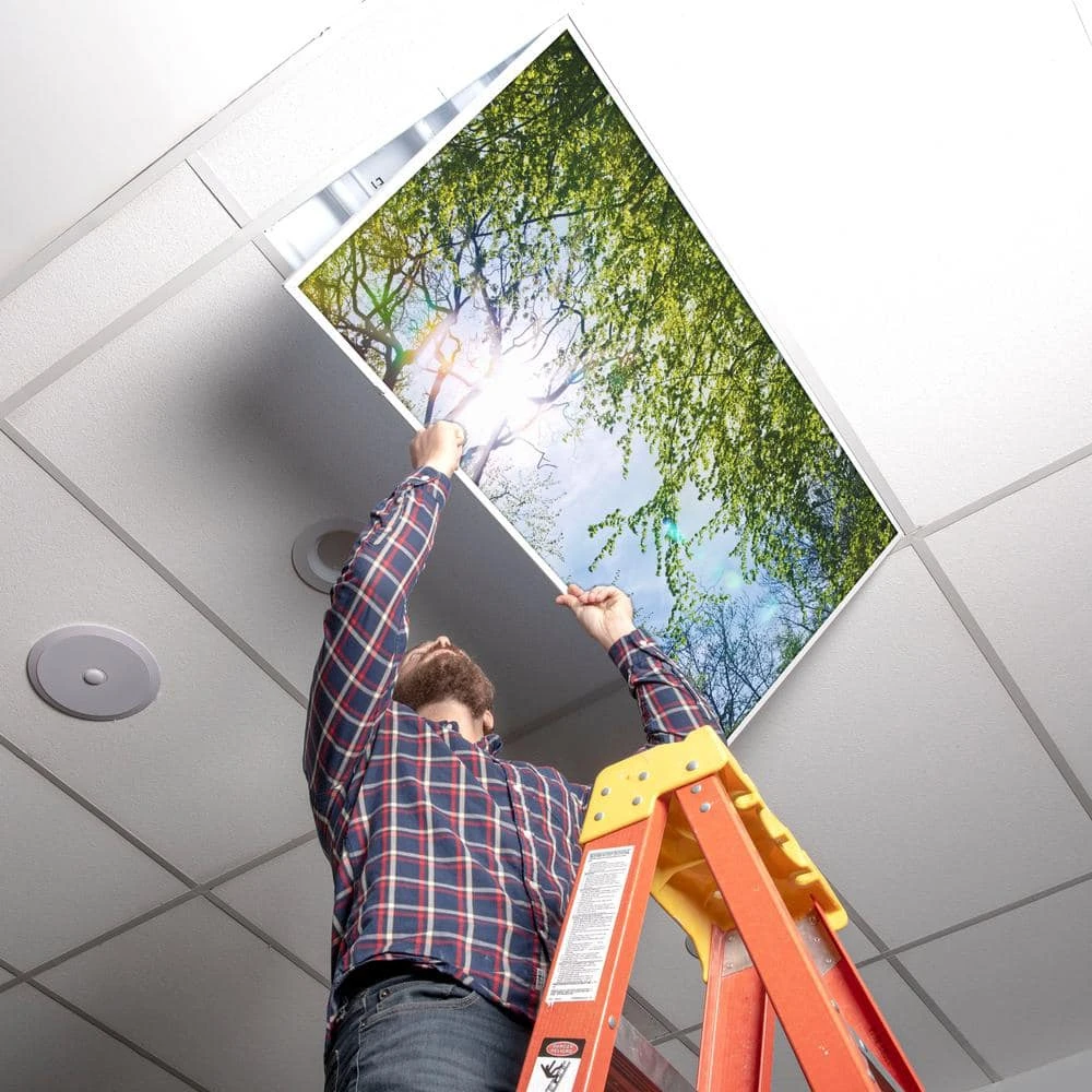 Tree 006 2 ft. x 2 ft. Fluorescent Light Filters by OCTO LIGHTS - Image 5