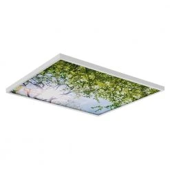 Tree 006 2 ft. x 2 ft. Fluorescent Light Filters by OCTO LIGHTS