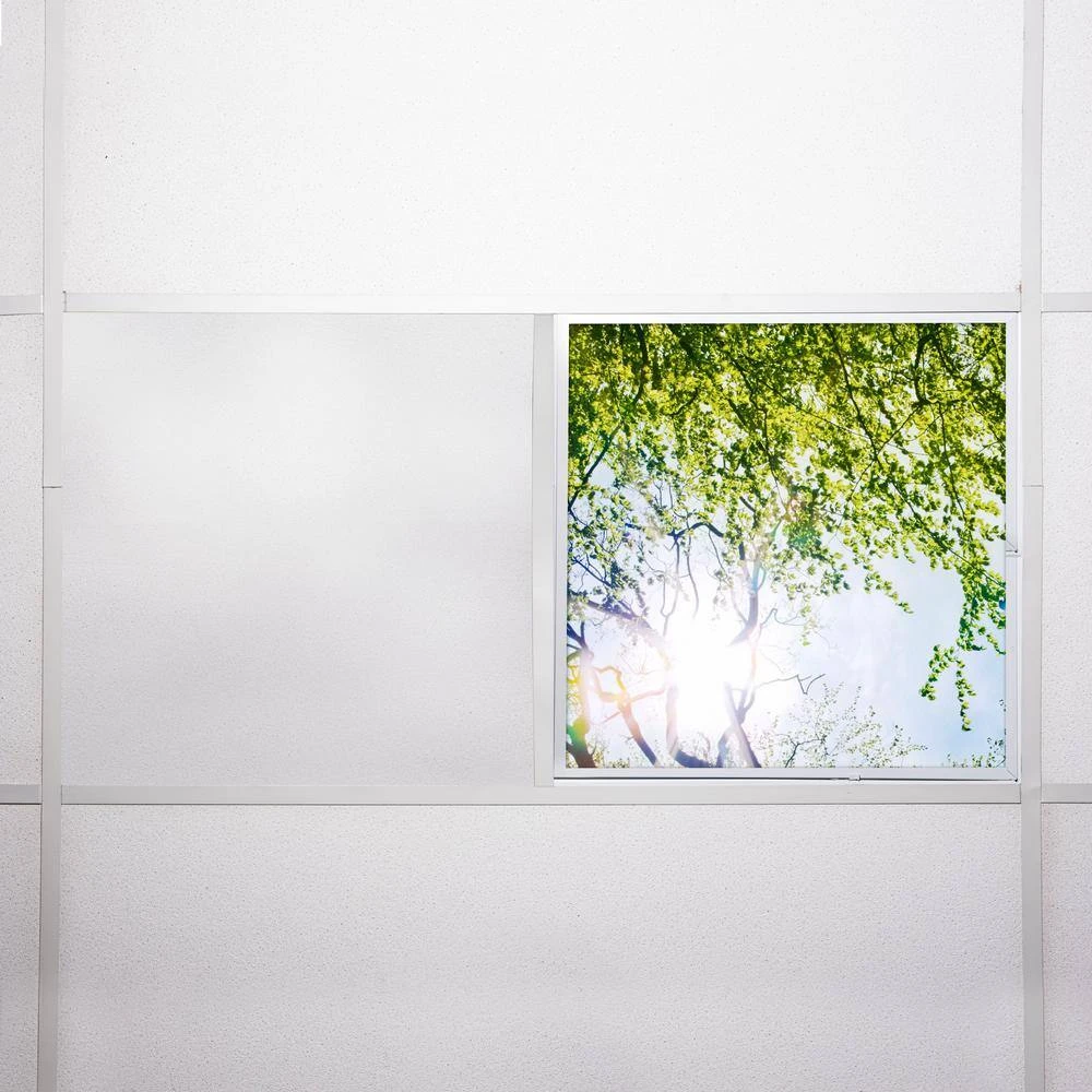 Tree 006 2 ft. x 2 ft. Fluorescent Light Filters by OCTO LIGHTS - Image 7