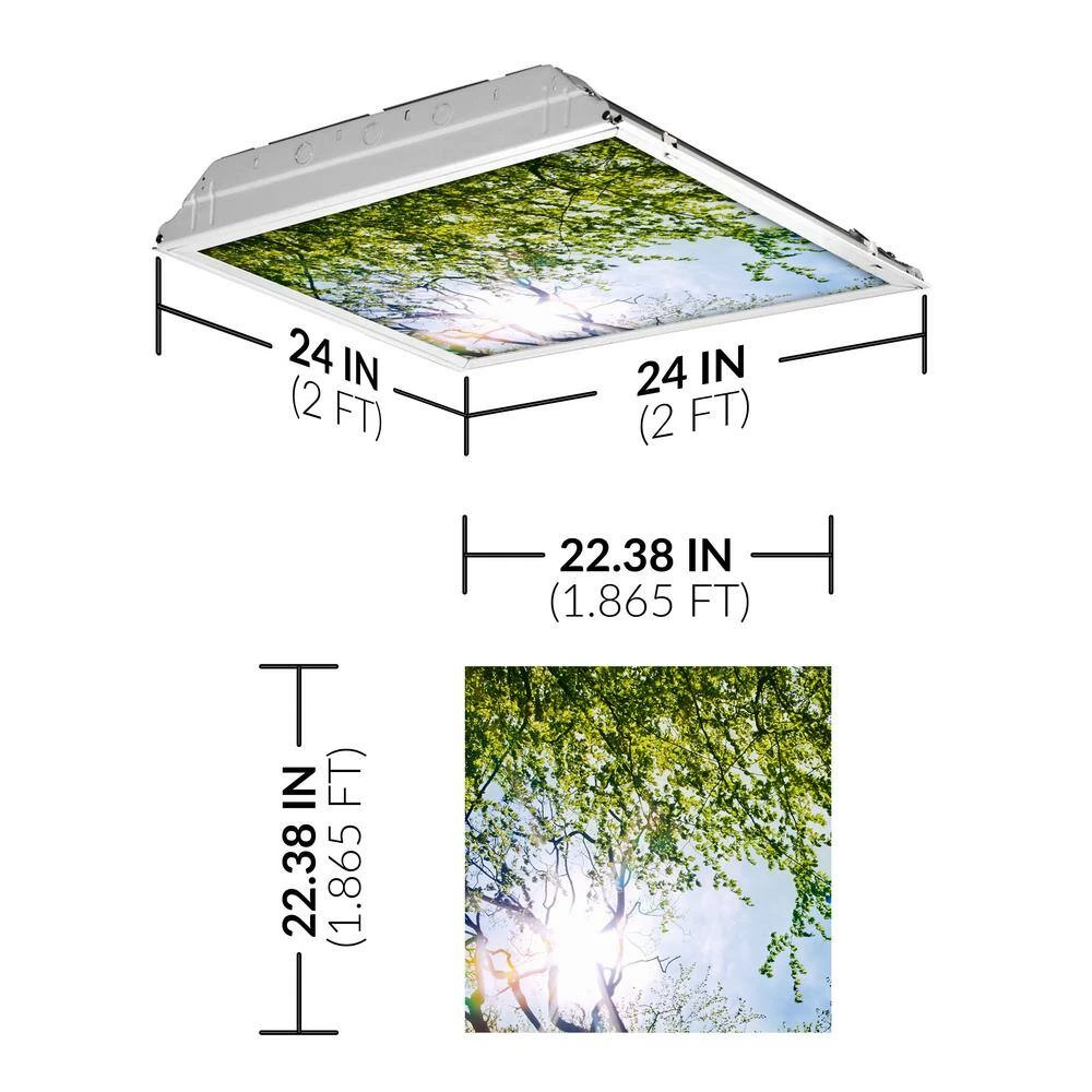 Tree 006 2 ft. x 2 ft. Fluorescent Light Filters by OCTO LIGHTS - Image 2