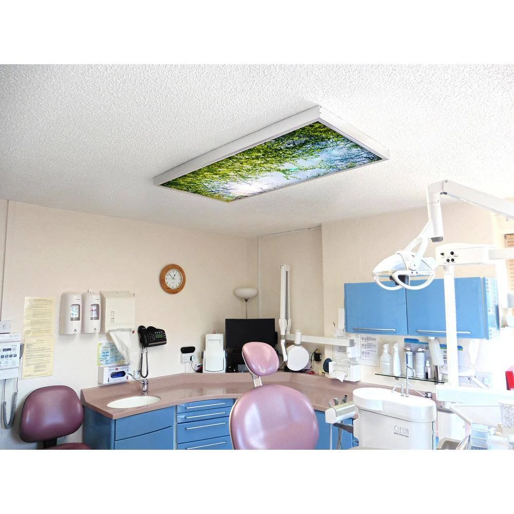 Tree 006 2 ft. x 2 ft. Fluorescent Light Filters by OCTO LIGHTS - Image 6