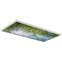 Tree 006 2 ft. x 4 ft. Fluorescent Light Filters by OCTO LIGHTS